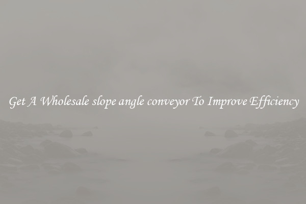 Get A Wholesale slope angle conveyor To Improve Efficiency