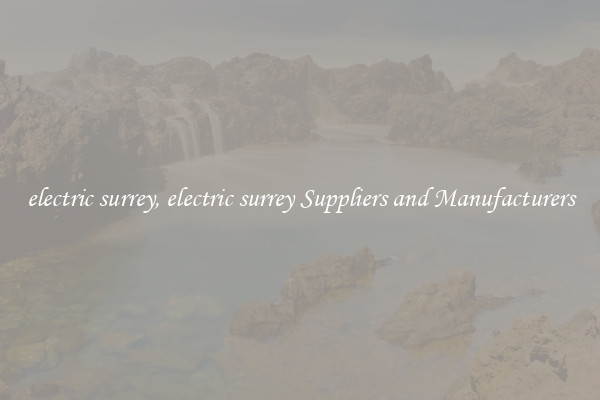 electric surrey, electric surrey Suppliers and Manufacturers