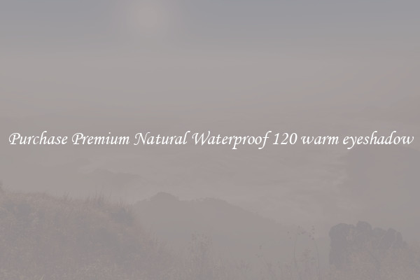 Purchase Premium Natural Waterproof 120 warm eyeshadow