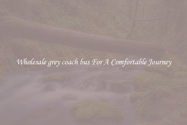 Wholesale grey coach bus For A Comfortable Journey