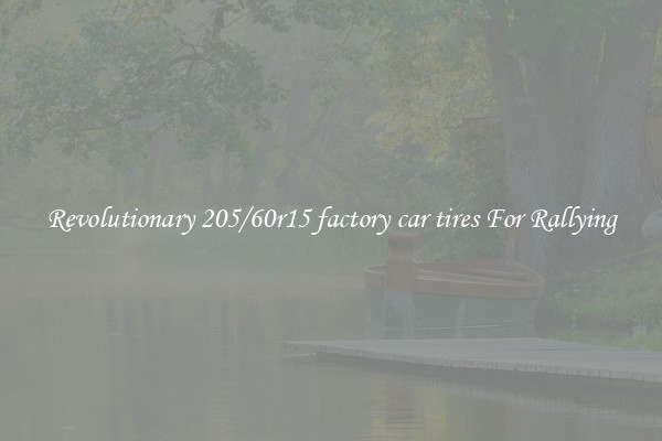 Revolutionary 205/60r15 factory car tires For Rallying
