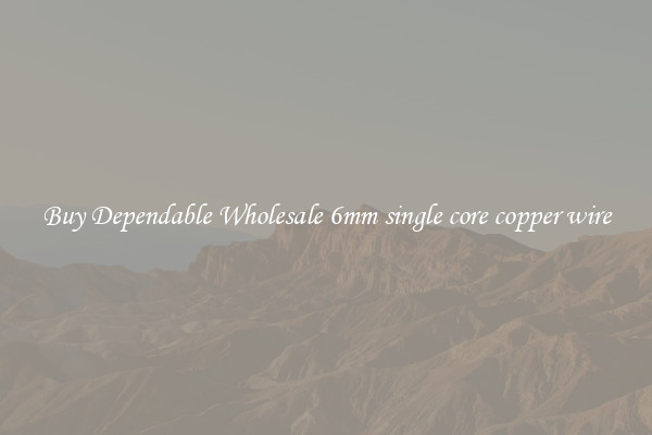 Buy Dependable Wholesale 6mm single core copper wire