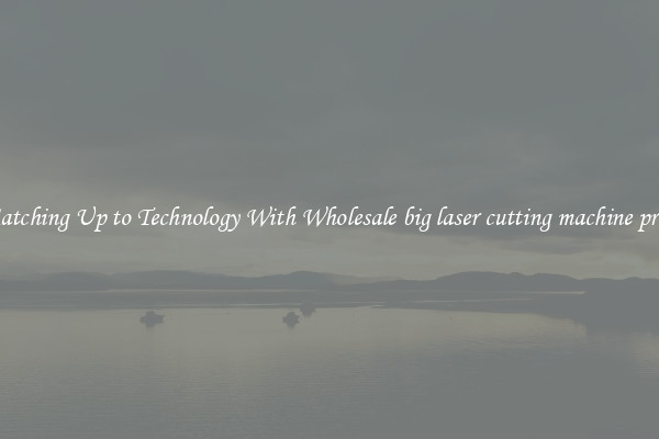 Matching Up to Technology With Wholesale big laser cutting machine price