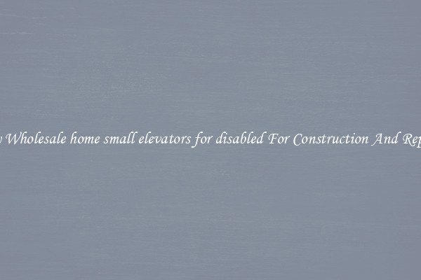 Buy Wholesale home small elevators for disabled For Construction And Repairs