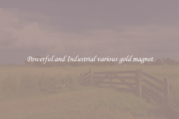 Powerful and Industrial various gold magnet
