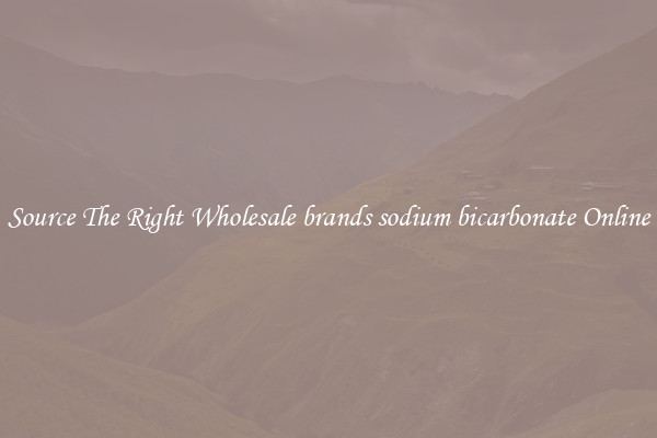 Source The Right Wholesale brands sodium bicarbonate Online