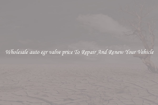 Wholesale auto egr valve price To Repair And Renew Your Vehicle