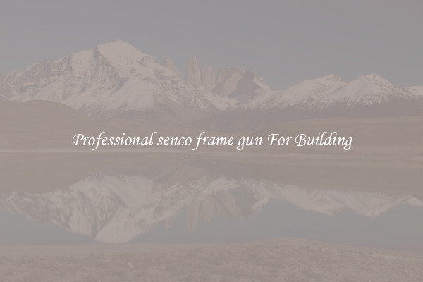 Professional senco frame gun For Building
