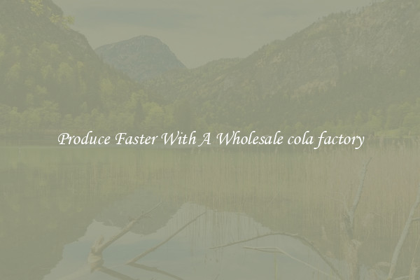 Produce Faster With A Wholesale cola factory
