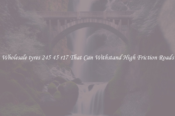 Wholesale tyres 245 45 r17 That Can Withstand High Friction Roads