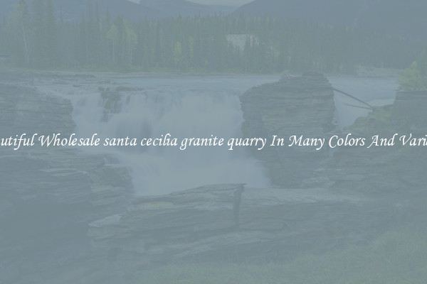 Beautiful Wholesale santa cecilia granite quarry In Many Colors And Varieties