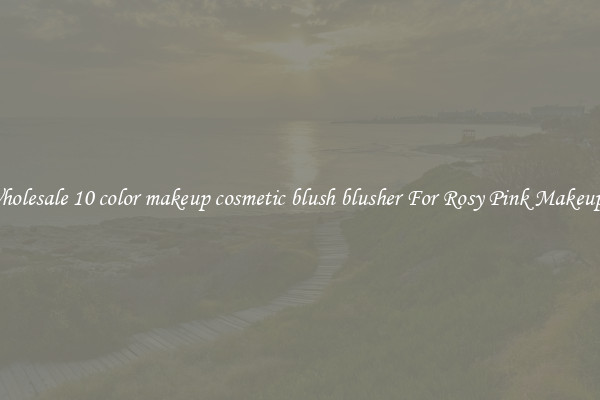 Buy Wholesale 10 color makeup cosmetic blush blusher For Rosy Pink Makeup Looks